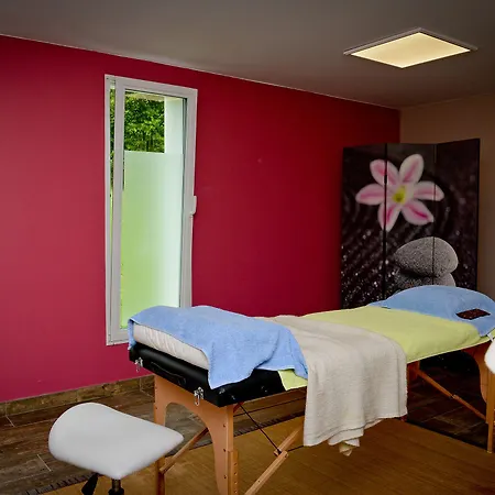 Otel Logis Andreinia &